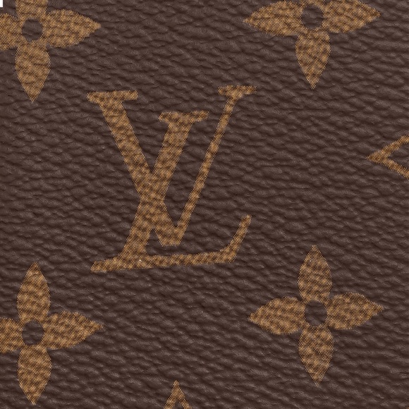 LOUIS VUITTON POCKET ORGANIZER - Picture 5 of 14